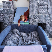 #color_wildflower-blue