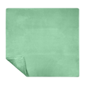 #color_mint-microsuede